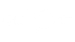 ICS Red 30 anos